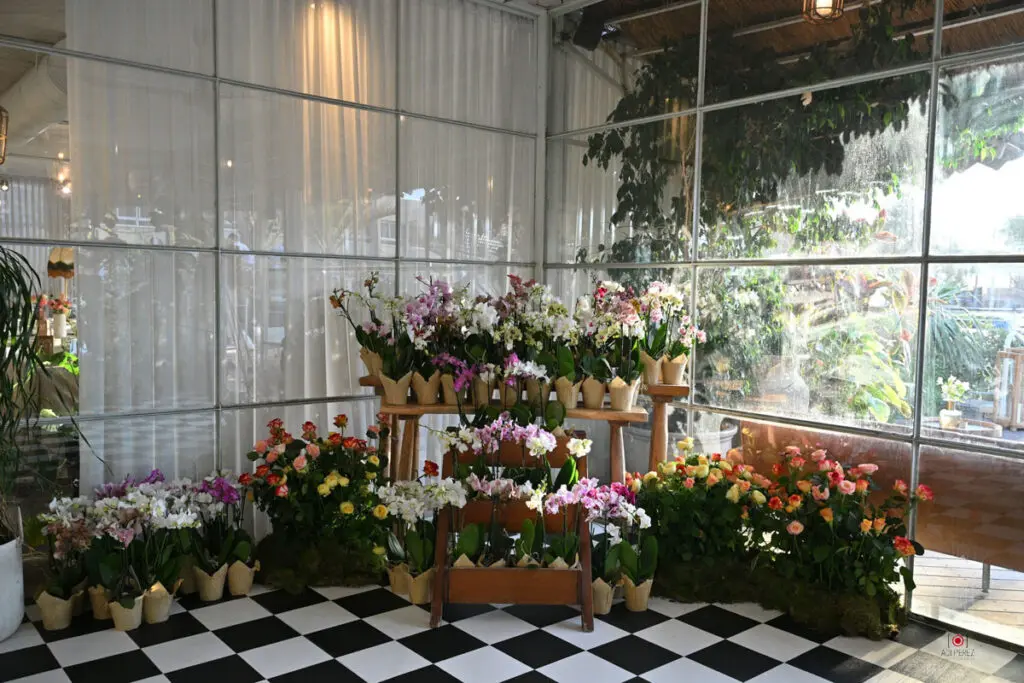 sapan-mitzva-gallery13